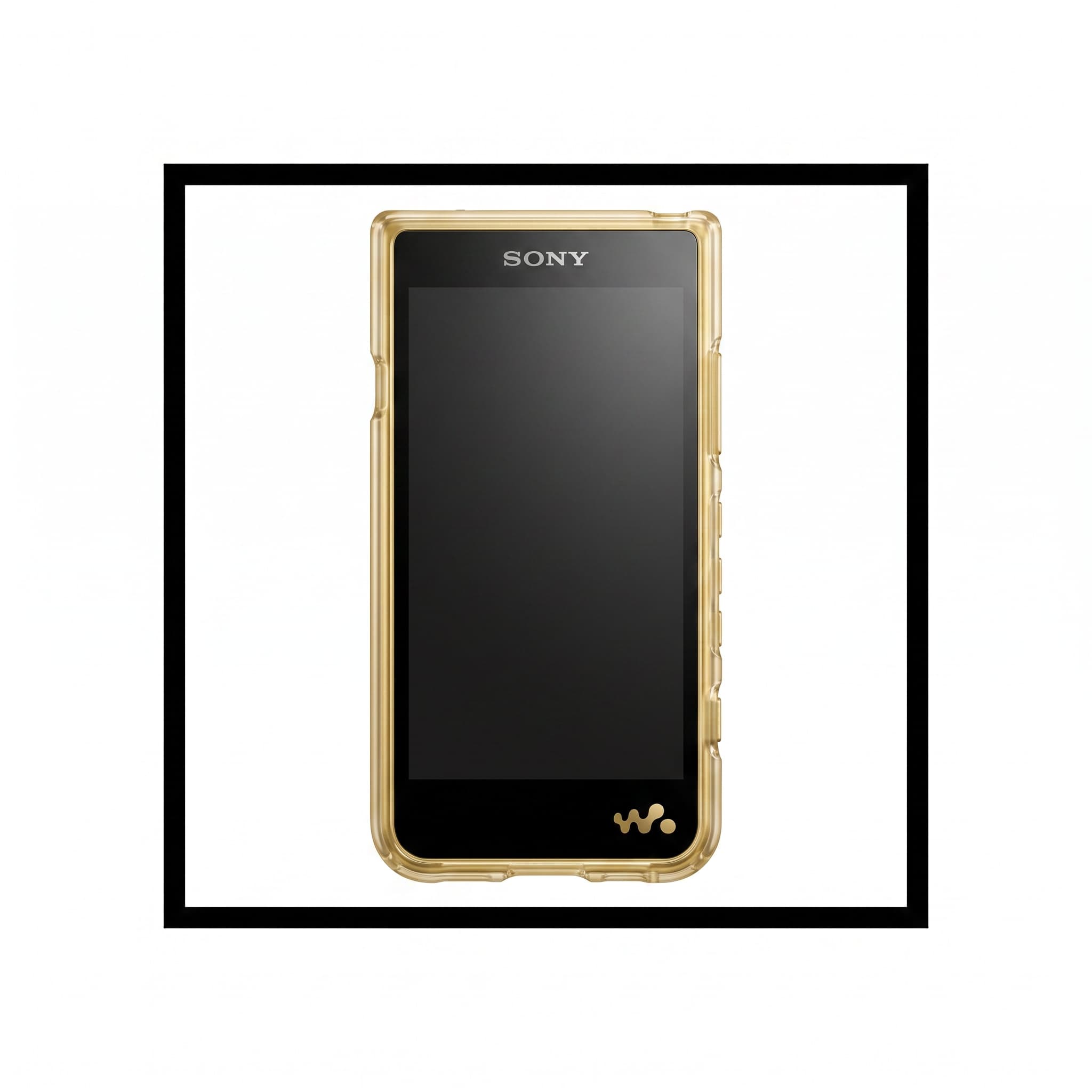Walkman NZX507